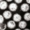 Rotavirus. Imagen de GrahamCol procedente de http://en.wikipedia.org/wiki/File:Multiple_rotavirus_particles.jpg