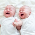 Bebés llorando
